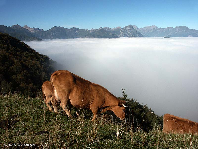 Foto de Pola de Lena (Asturias), España