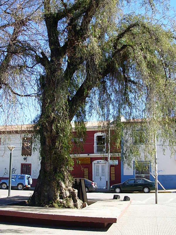 Foto de Putaendo, Chile