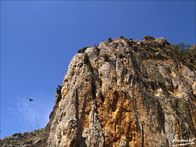 Foto de Cihuela (Soria), España