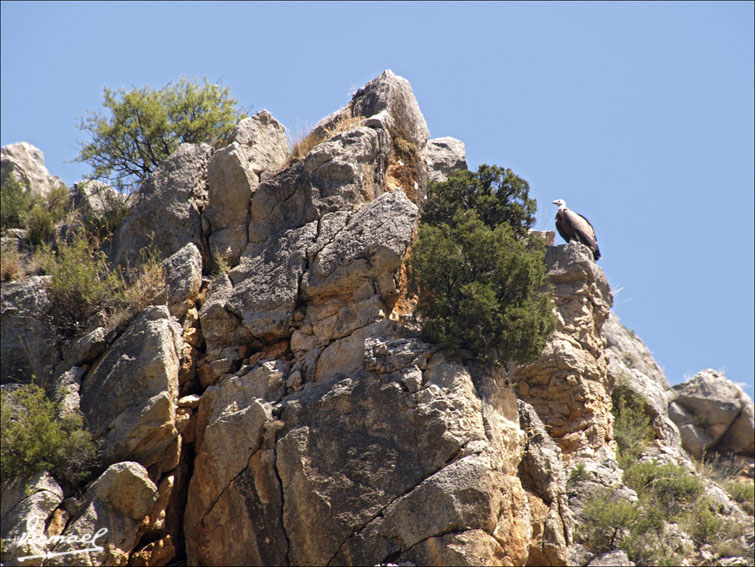 Foto de Cihuela (Soria), España