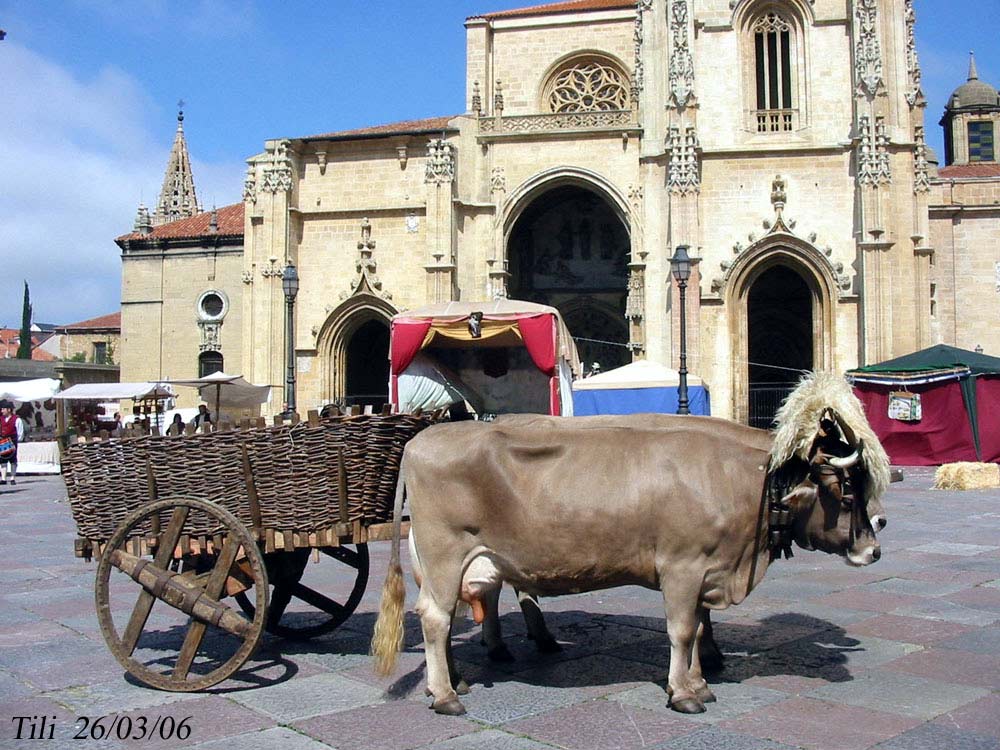 Foto de Oviedo (Asturias), España