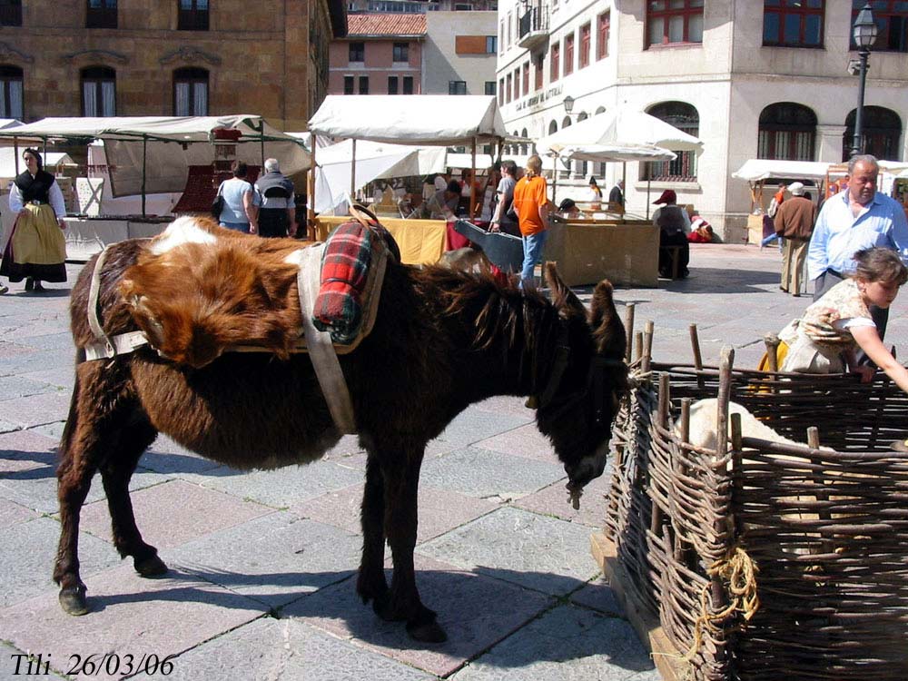 Foto de Oviedo (Asturias), España