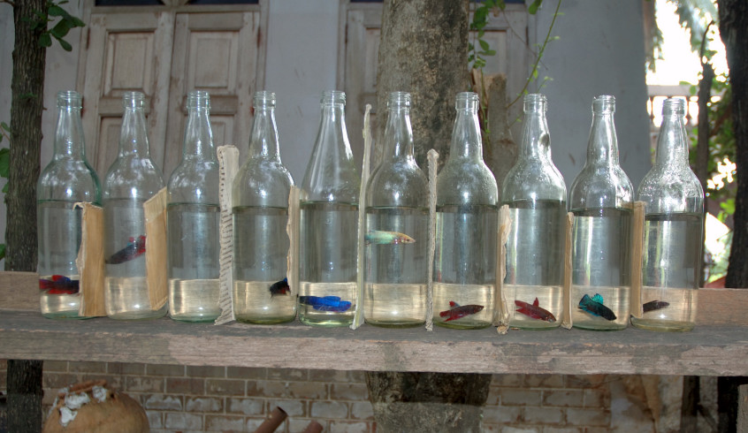 Foto de Bangkok, Tailandia