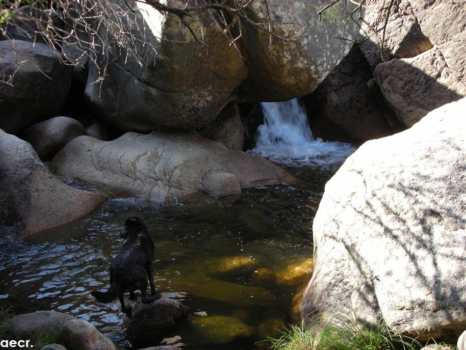 Foto de Manzanares el Real (Madrid), España
