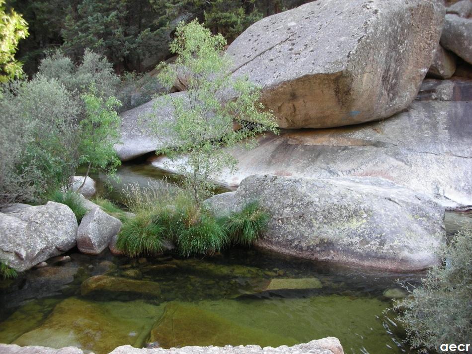 Foto de Manzanares el Real (Madrid), España