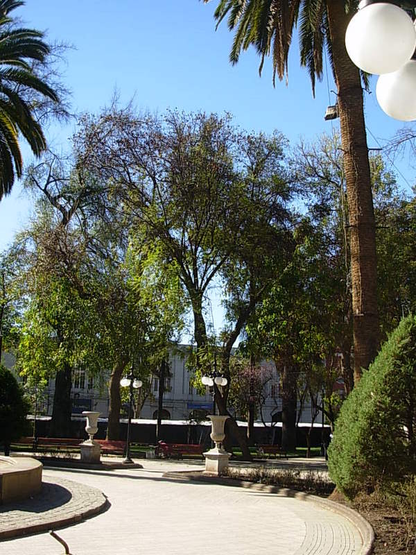 Foto de San Felipe, Chile