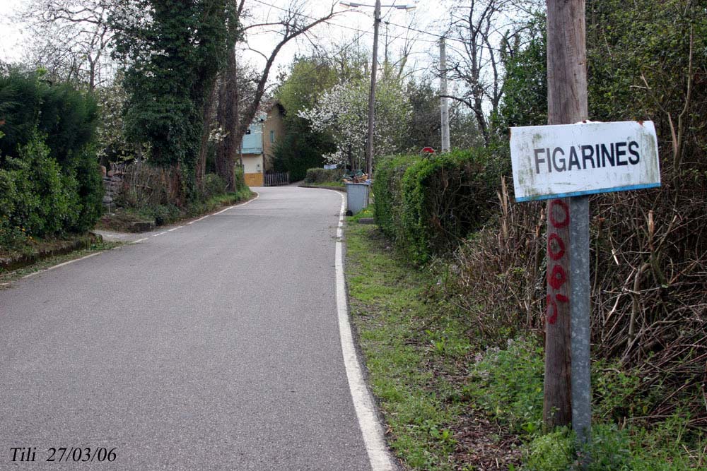 Foto de Figarines (Asturias), España