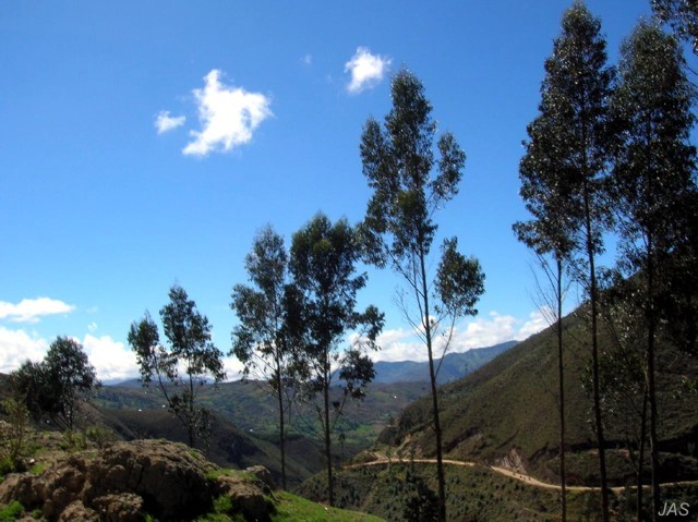 Foto de Cutervo, Perú
