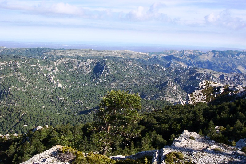 Foto de Roquetes (Tarragona), España