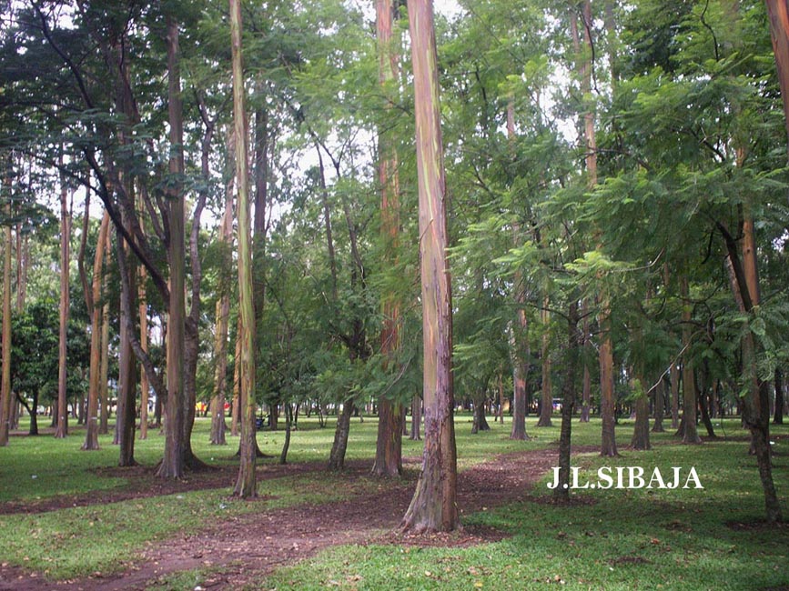 Foto de San José, Costa Rica