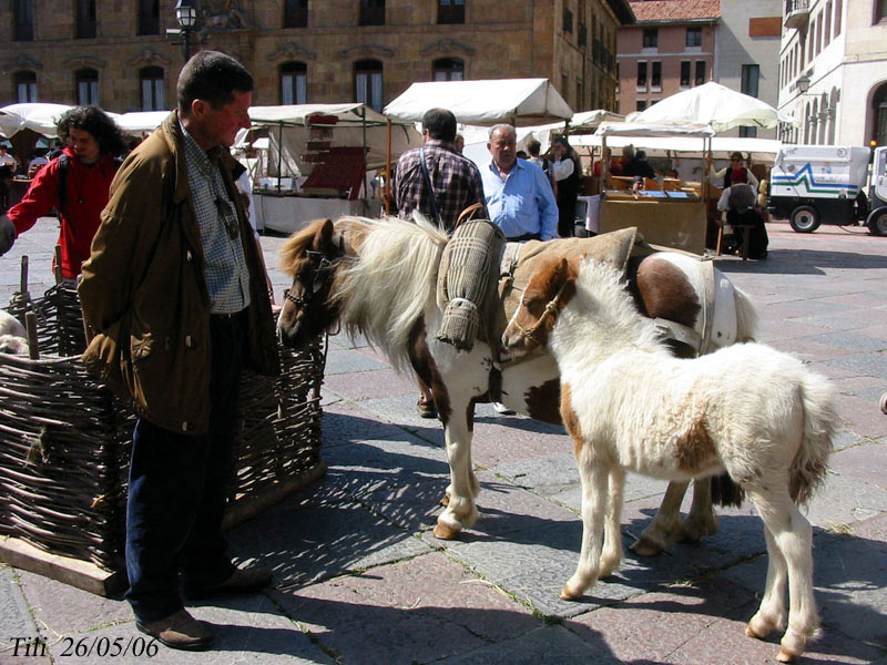 Foto de Oviedo (Asturias), España