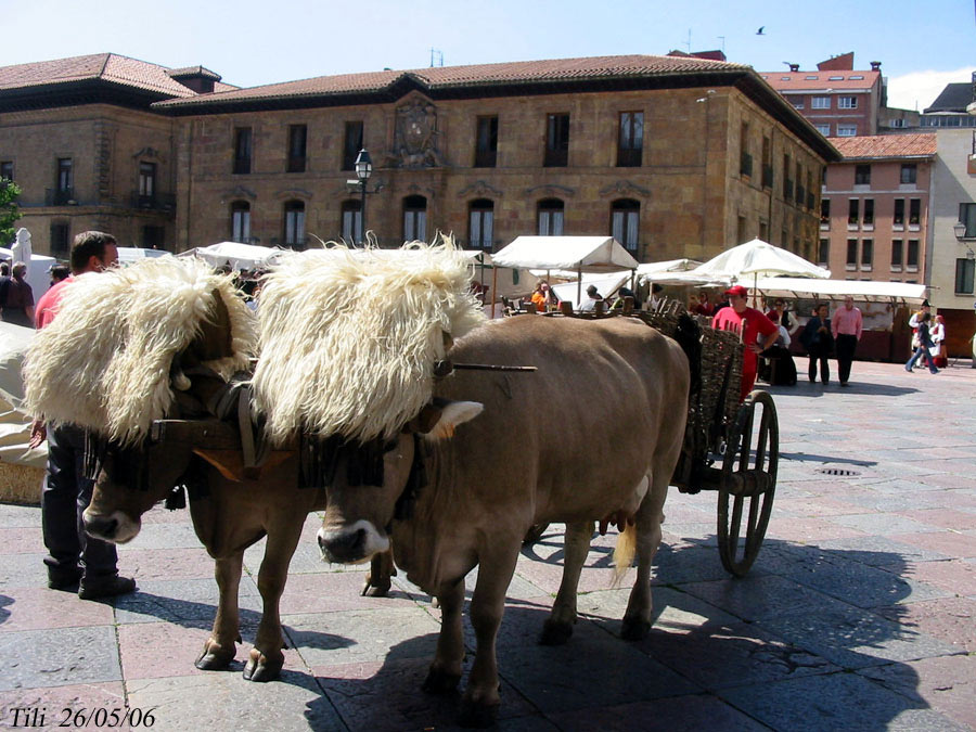 Foto de Oviedo (Asturias), España