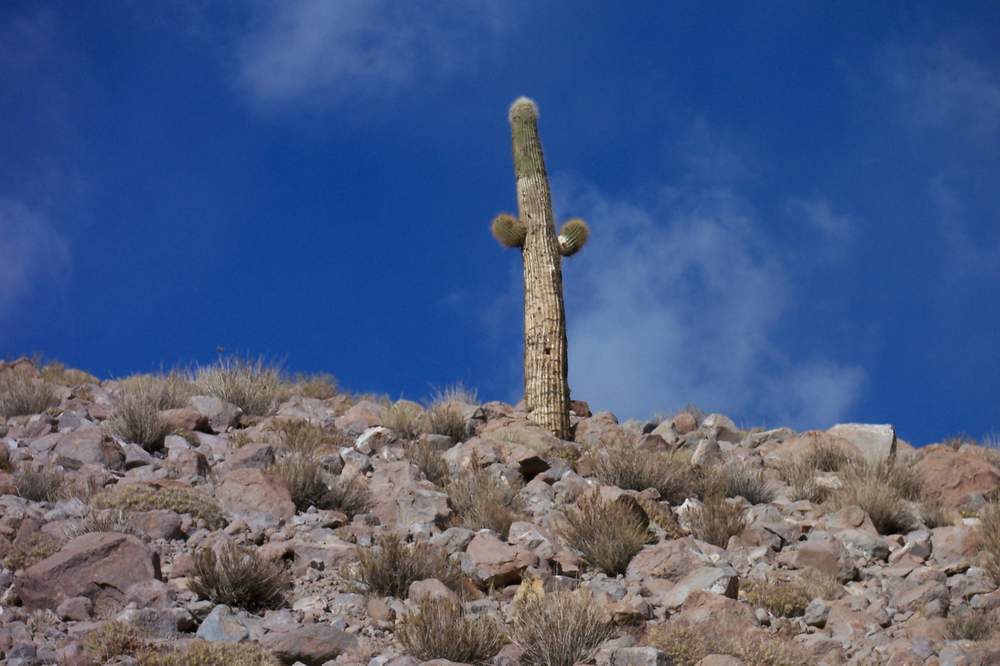 Foto de San Pedro de Atacama, Chile
