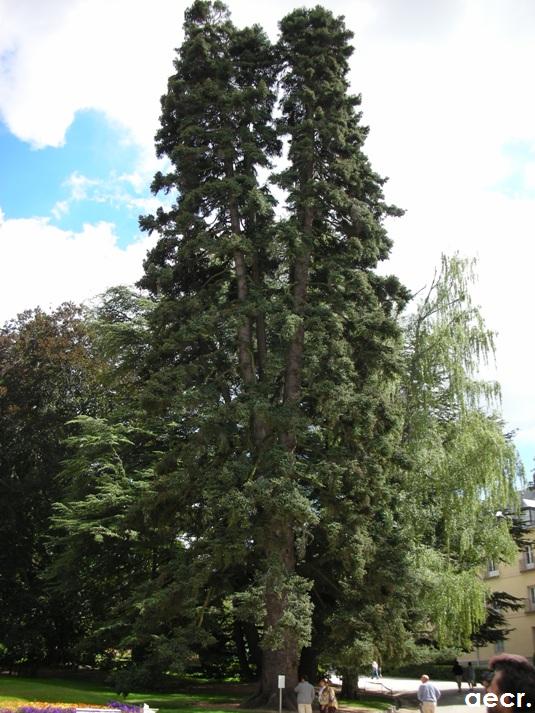 Foto de San Ildefonso (Segovia), España