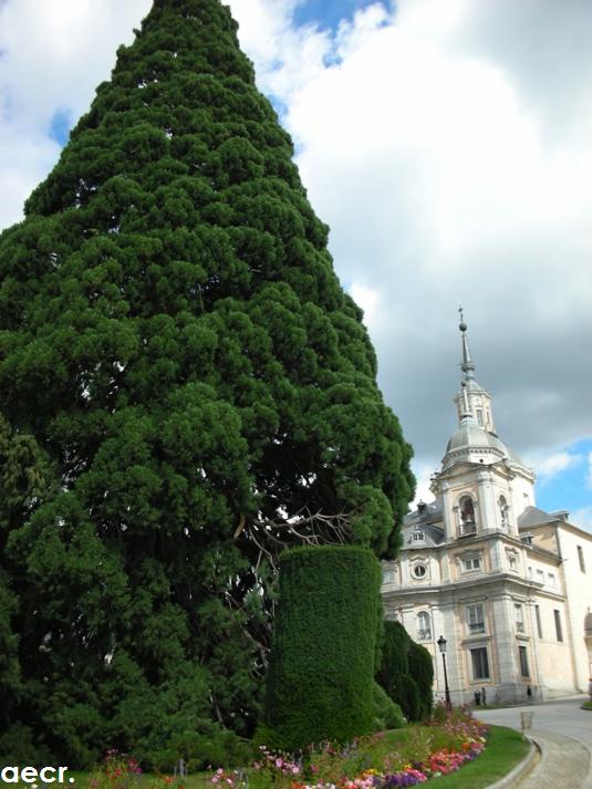 Foto de San Ildefonso (Segovia), España