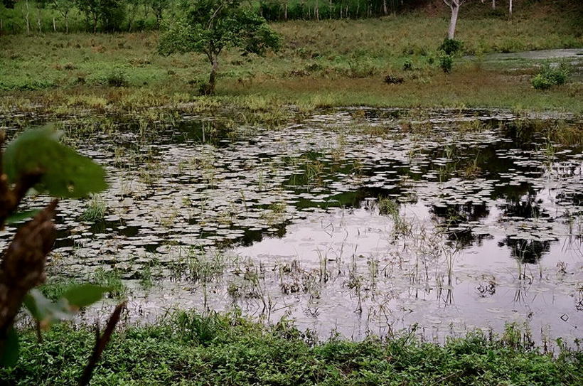 Foto de Salinas, Ecuador
