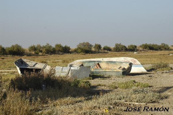 Foto de Trebujena (Cádiz), España