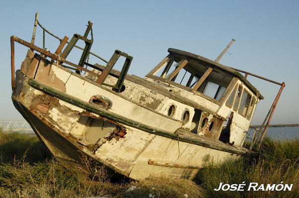 Foto de Trebujena (Cádiz), España