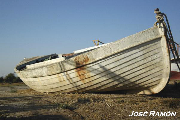 Foto de Trebujena (Cádiz), España