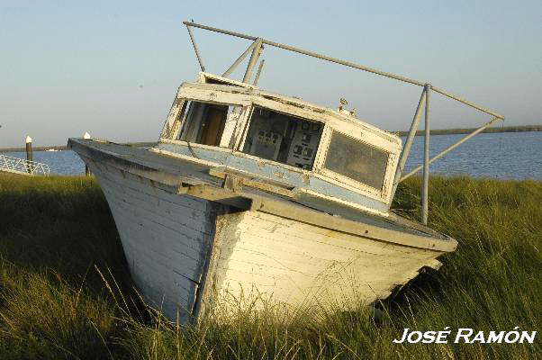 Foto de Trebujena (Cádiz), España