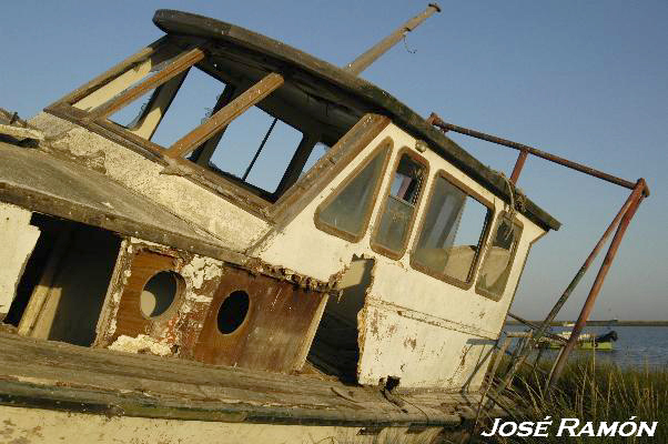 Foto de Trebujena (Cádiz), España
