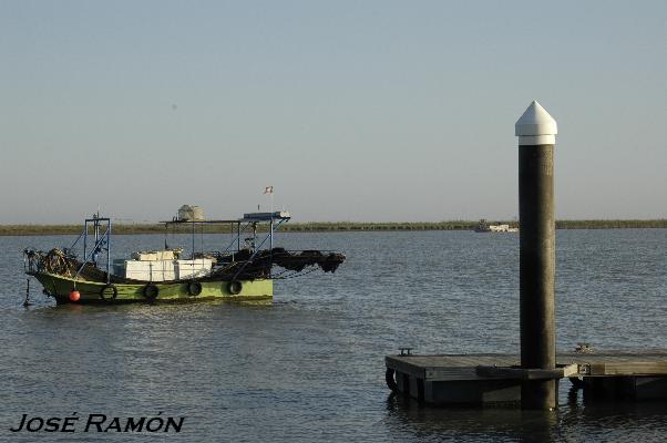 Foto de Trebujena (Cádiz), España