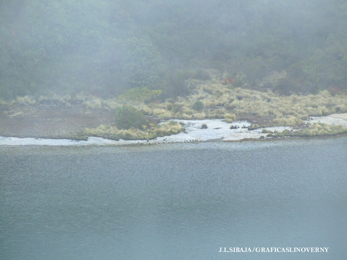 Foto de Alajuela, Costa Rica