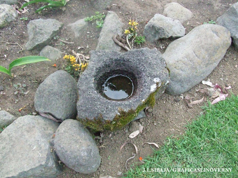 Foto de Guayabo, Cartago, Costa Rica