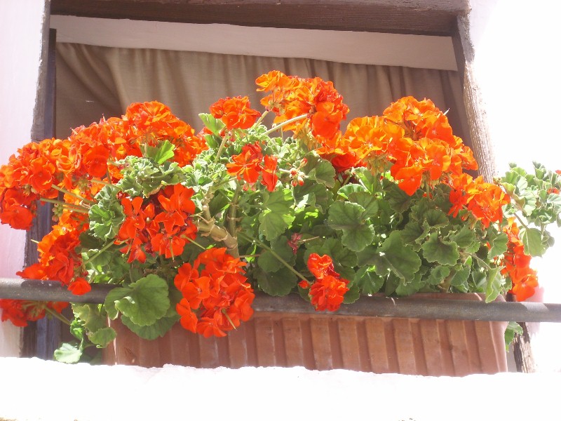 Foto de Fuendetodos (Zaragoza), España