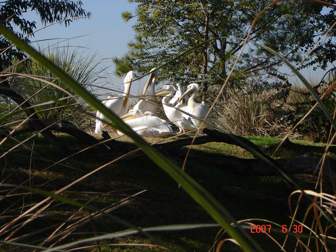 Foto de Benavídez, Buenos Aires, Argentina
