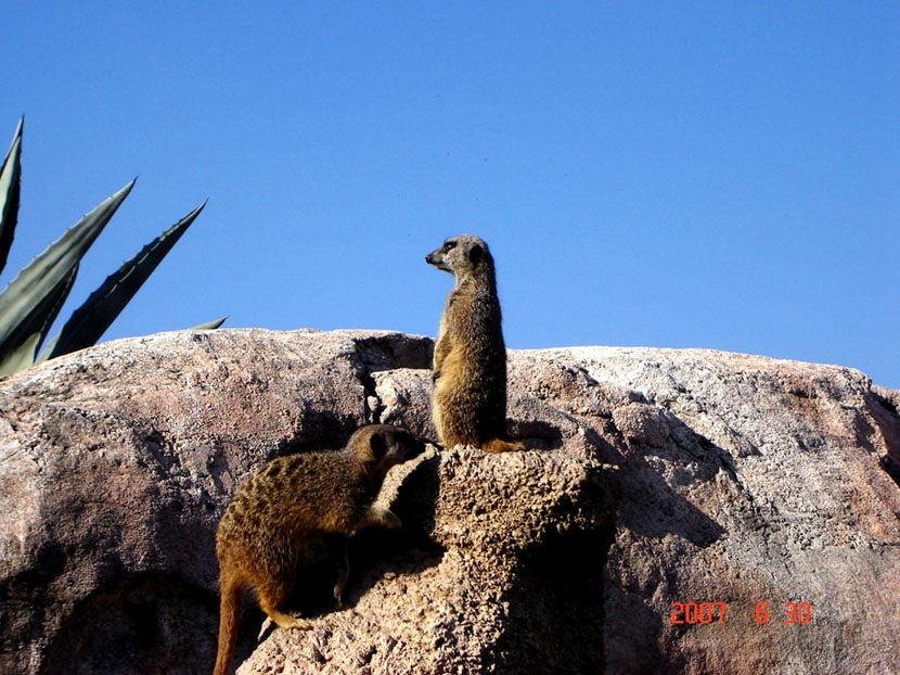 Foto de Benavídez, Buenos Aires, Argentina