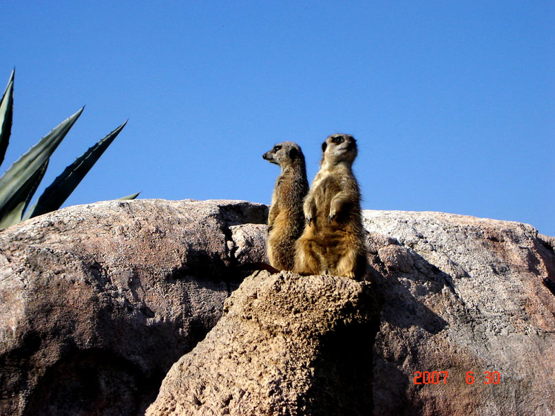 Foto de Benavídez, Buenos Aires, Argentina