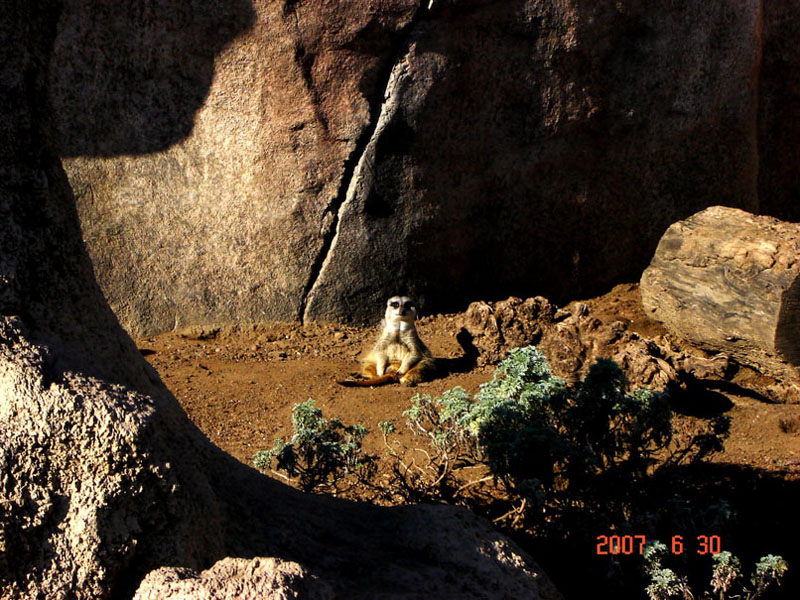 Foto de Benavídez, Buenos Aires, Argentina