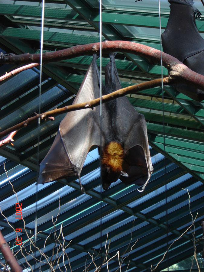 Foto de Benavídez, Buenos Aires, Argentina