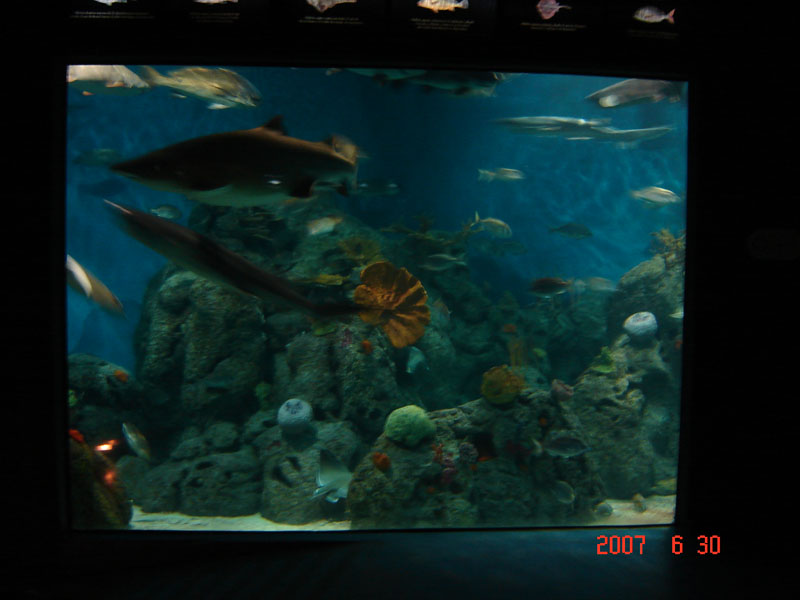 Foto de Benavídez, Buenos Aires, Argentina