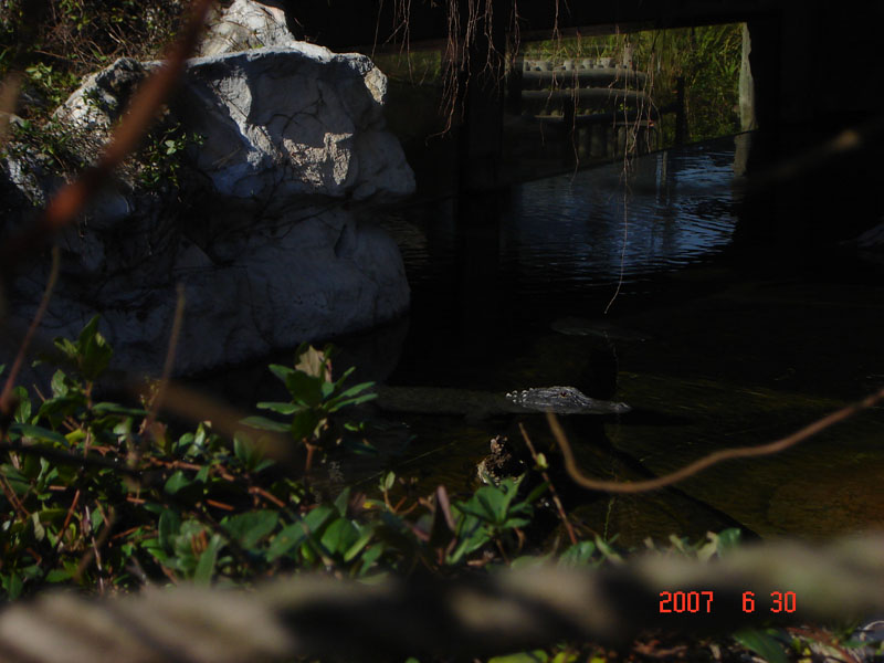 Foto de Benavídez, Buenos Aires, Argentina