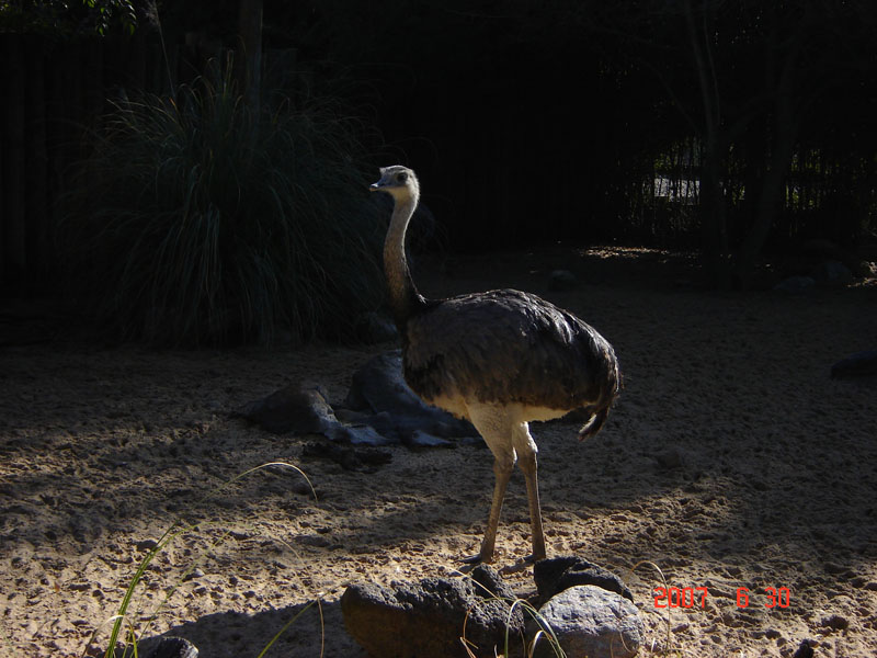 Foto de Benavídez, Buenos Aires, Argentina