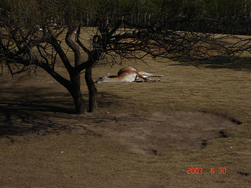 Foto de Benavídez, Buenos Aires, Argentina
