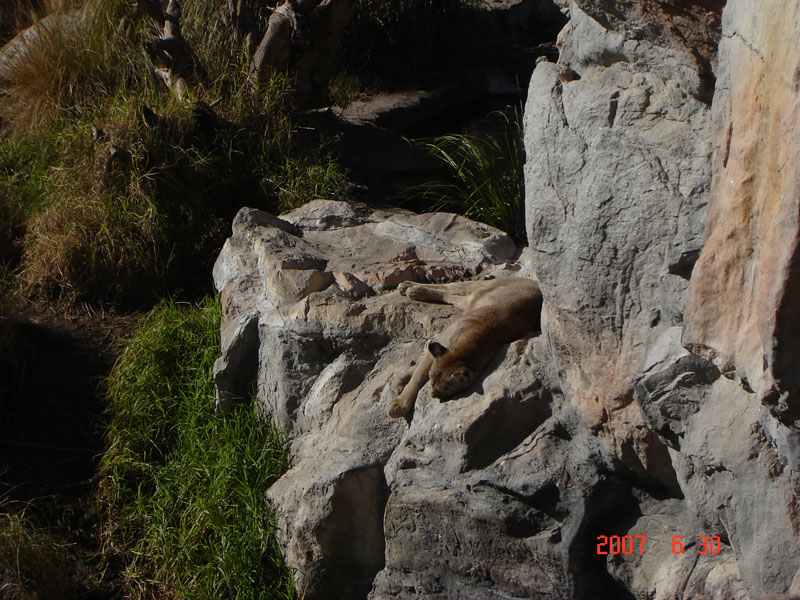 Foto de Benavídez, Buenos Aires, Argentina
