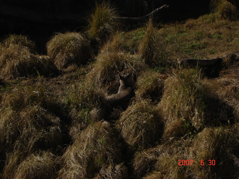 Foto de Benavídez, Buenos Aires, Argentina