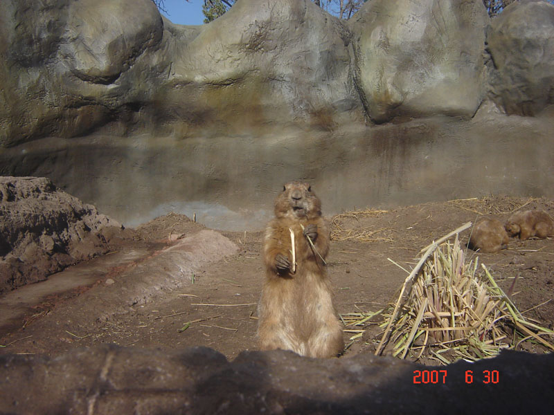 Foto de Benavídez, Buenos Aires, Argentina