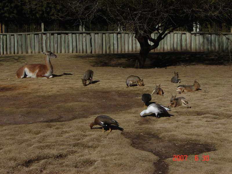 Foto de Benavídez, Buenos Aires, Argentina