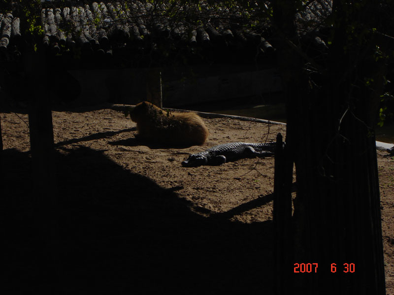 Foto de Benavídez, Buenos Aires, Argentina