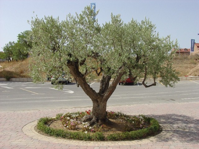 Foto de La Muela (Zaragoza), España