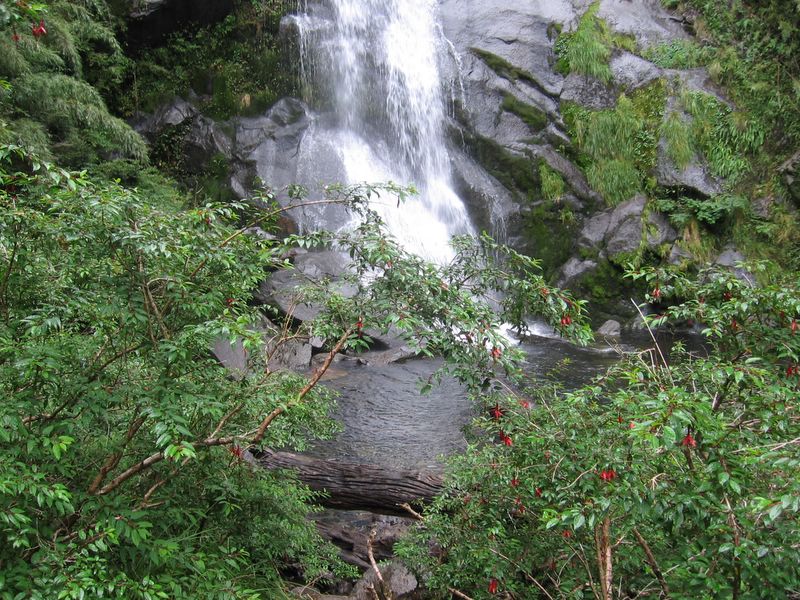 Foto de Araucania, Chile