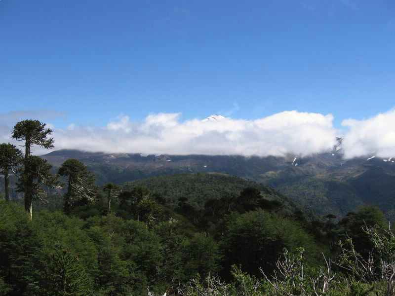Foto de Araucania, Chile