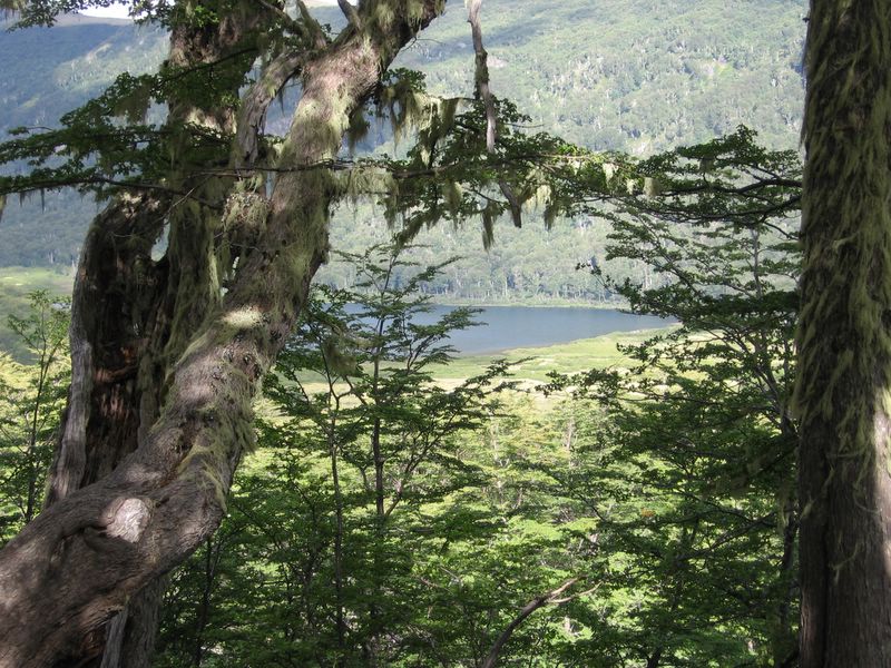 Foto de Araucania, Chile