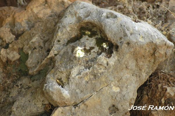 Foto de Benamahoma (Cádiz), España