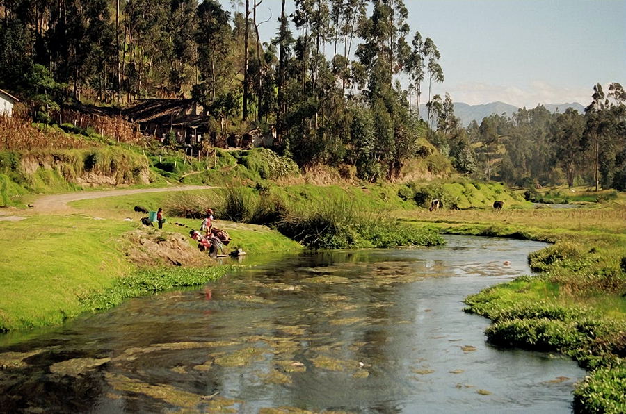 Foto de Latitud 0, Ecuador