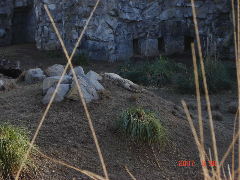 Foto de Escobar, Buenos Aires, Argentina